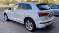 Audi Q5 AUDI Q5 40 2.0 S-LINE PLUS TDI QUATTRO S-TRONIC 20 Bianco - thumbnail 8