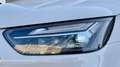 Audi Q5 AUDI Q5 40 2.0 S-LINE PLUS TDI QUATTRO S-TRONIC 20 Bianco - thumbnail 6