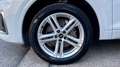Audi Q5 AUDI Q5 40 2.0 S-LINE PLUS TDI QUATTRO S-TRONIC 20 Bianco - thumbnail 7