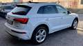 Audi Q5 AUDI Q5 40 2.0 S-LINE PLUS TDI QUATTRO S-TRONIC 20 Bianco - thumbnail 10