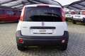 Fiat New Panda 1.3 MJT S&S Pop Van 2 posti Euro 6B Blanc - thumbnail 5