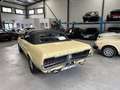 Ford Mustang MUSTANG 390 GT 6.4 CABRIOLET BOITE MANUELLE Beige - thumbnail 10