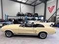 Ford Mustang MUSTANG 390 GT 6.4 CABRIOLET BOITE MANUELLE Beige - thumbnail 11