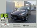 Ford Fiesta 1.0 EcoBoost Celebration SHZ, 8-fach, PDC Grau - thumbnail 1
