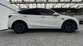 Tesla Model Y AWD Dual Motor Long Range | Trekhaak | BTW-wagen! Wit - thumbnail 5