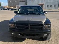 Dodge Dakota снимка Dodge Dakota