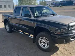Dodge Dakota снимка Dodge Dakota