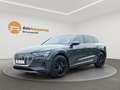 Audi e-tron 50 quattro LED/LEDER/HUD/ACC/VIRTUAL COCKPIT Grau - thumbnail 3