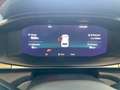 CUPRA Terramar ALPHA 1.5 e-TSI 150 PS DSG Blau - thumbnail 8