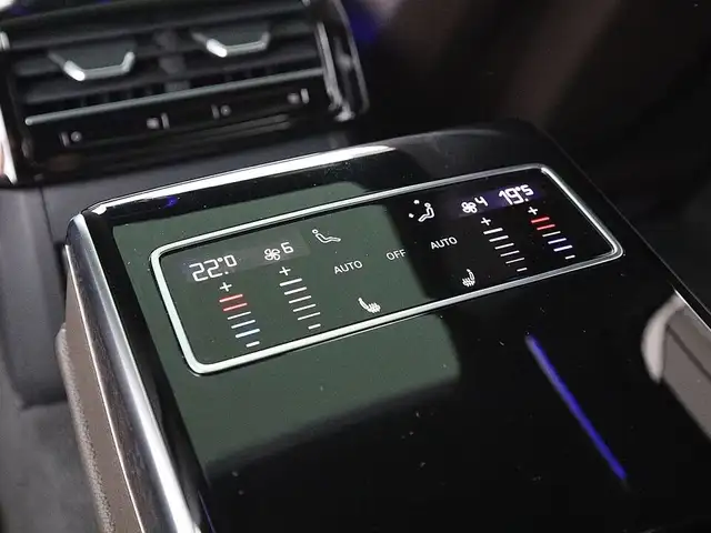 Audi A8 60 TFSI e quattro S-Line Aut MATRIX LUFT SKY Ansicht 30