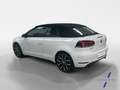 Volkswagen Golf GTI Cabrio 2.0 TSI DSG Wit - thumbnail 3