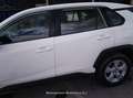Toyota RAV 4 RAV4 2.5l 220H Business 4WD - thumbnail 16