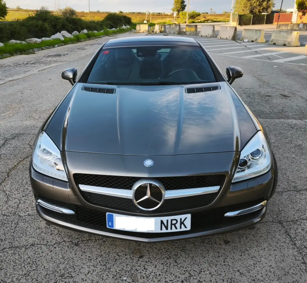 Mercedes-Benz SLK 250 d Aut. Gris - 1