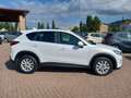 Mazda CX-5 CX-5 2.2 Evolve 4wd 150cv Bianco - thumbnail 4