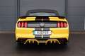 Ford Mustang 5.0 V8 GT Cabrio/LED/TOTW/WIFI/SBL/R19 Żółty - thumbnail 5