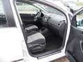 Volkswagen Golf 1.2 TSI Cross Weiß - thumbnail 6