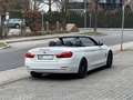 BMW 428 i Cabrio*Deutsch*2. Hand* Winterradsatz* Blanc - thumbnail 5