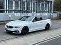BMW 428 i Cabrio*Deutsch*2. Hand* Winterradsatz* Blanc - thumbnail 3