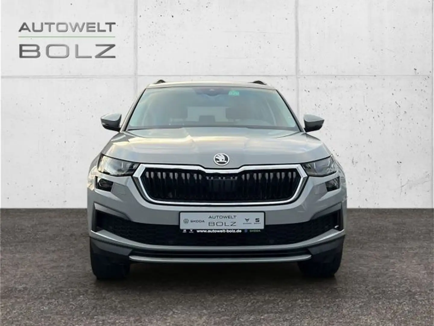 Skoda Kodiaq Tour 4x4 2.0 TDI StandHZG Navi DigiCock K Grau - 2