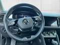 Skoda Kodiaq Tour 4x4 2.0 TDI StandHZG Navi DigiCock K Grau - thumbnail 13