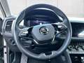 Skoda Kodiaq Tour 4x4 2.0 TDI StandHZG Navi DigiCock K Grau - thumbnail 14
