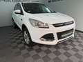 Ford Kuga Sync Edition 1.5 EcoBoost 2WD Schalter WR Blanco - thumbnail 7
