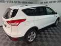 Ford Kuga Sync Edition 1.5 EcoBoost 2WD Schalter WR Blanco - thumbnail 39