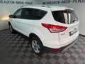 Ford Kuga Sync Edition 1.5 EcoBoost 2WD Schalter WR Blanco - thumbnail 35
