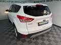 Ford Kuga Sync Edition 1.5 EcoBoost 2WD Schalter WR Blanco - thumbnail 36