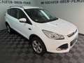 Ford Kuga Sync Edition 1.5 EcoBoost 2WD Schalter WR Blanco - thumbnail 2