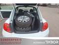 Volkswagen Beetle 1.2 TSI Design LM BiXen Climatronic PDC - thumbnail 10