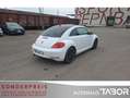 Volkswagen Beetle 1.2 TSI Design LM BiXen Climatronic PDC - thumbnail 3