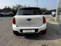 MINI Cooper D Countryman R60 1.6 Business E6 - SEMPRE TAGLIANDATA - Bianco - thumbnail 5
