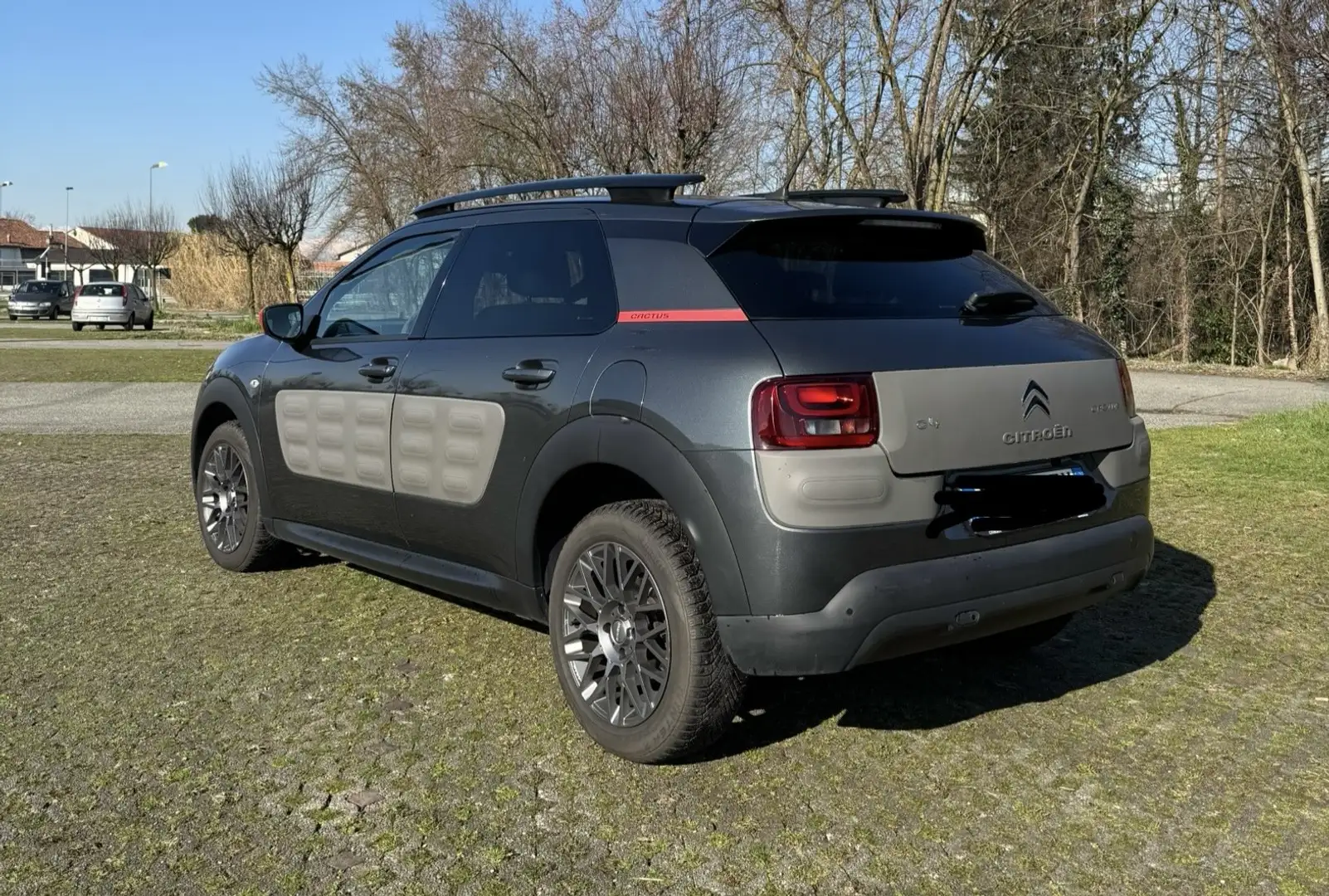 Citroen C4 Cactus Shine Edition Grigio - 2