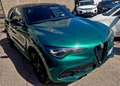 Alfa Romeo Stelvio 2.2 t TRIBUTO ITALIANO- Q4 AT8 210cv Auto Verde - thumbnail 7