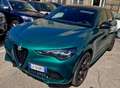 Alfa Romeo Stelvio 2.2 t TRIBUTO ITALIANO- Q4 AT8 210cv Auto Verde - thumbnail 1