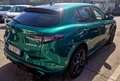 Alfa Romeo Stelvio 2.2 t TRIBUTO ITALIANO- Q4 AT8 210cv Auto Verde - thumbnail 5