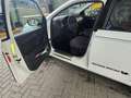 Skoda Fabia Wagon 1.4 tdi Ambition 90cv - thumbnail 14