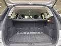 Ford Kuga Kuga 1.5 EcoBoost ECO_NAVI_JANTES_LED_41000KMS_ Gris - thumbnail 8