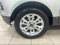 Ford EcoSport EcoSport 1.0 ecoboost Titanium 125cv Silber - thumbnail 3