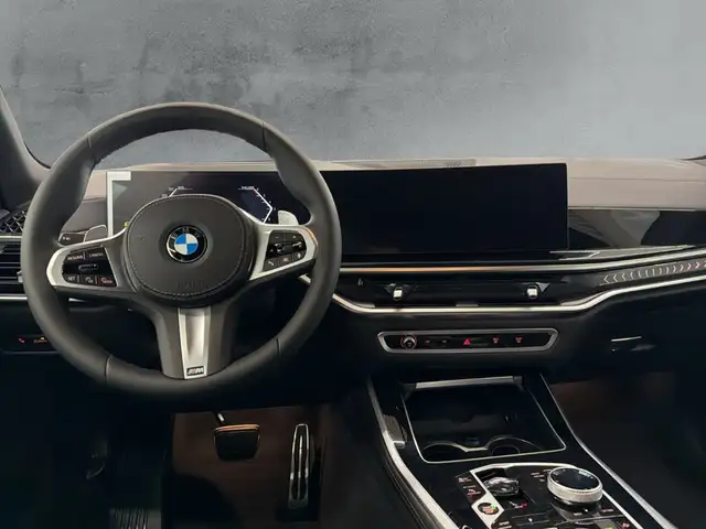 BMW X5 view 10
