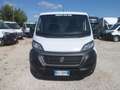 Fiat Ducato furgone tetto basso Weiß - thumbnail 2