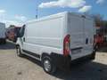 Fiat Ducato furgone tetto basso Weiß - thumbnail 5
