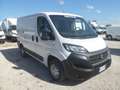 Fiat Ducato furgone tetto basso Weiß - thumbnail 3