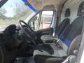 Fiat Ducato furgone tetto basso Weiß - thumbnail 9