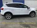 Ford Kuga 2.0 TDCi 4x4 Autom. Klimatronic,Leder,Alu, Weiß - thumbnail 5
