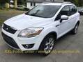 Ford Kuga 2.0 TDCi 4x4 Autom. Klimatronic,Leder,Alu, Weiß - thumbnail 3