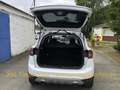 Ford Kuga 2.0 TDCi 4x4 Autom. Klimatronic,Leder,Alu, Weiß - thumbnail 13