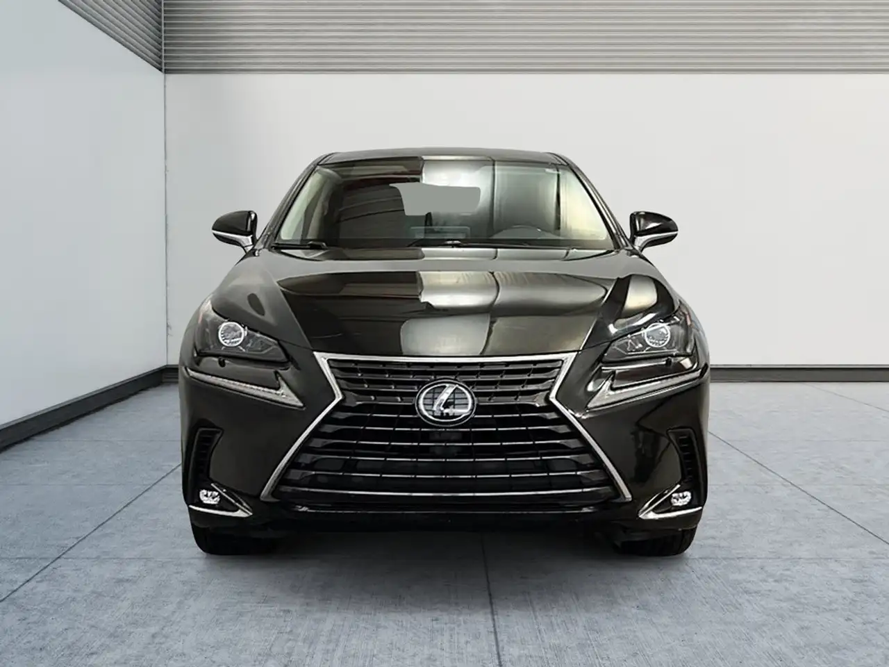 Lexus NX photo Lexus NX