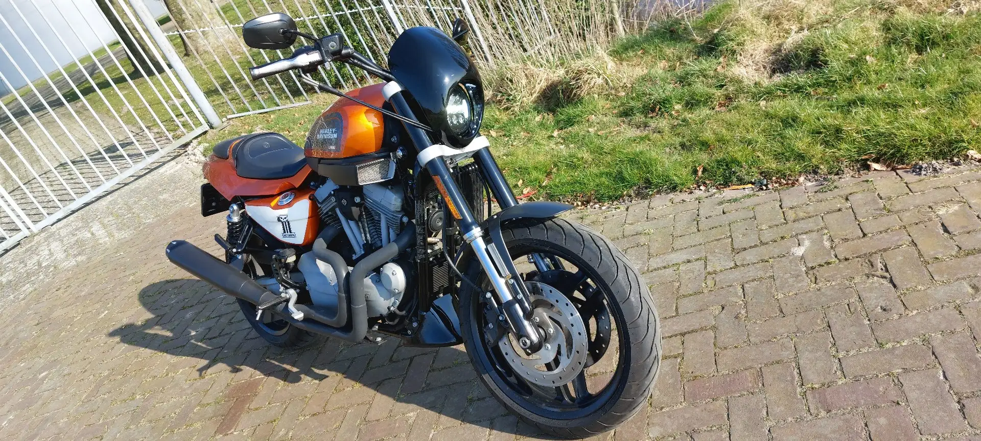 Harley-Davidson Sportster XR 1200 15000km Orange - 1